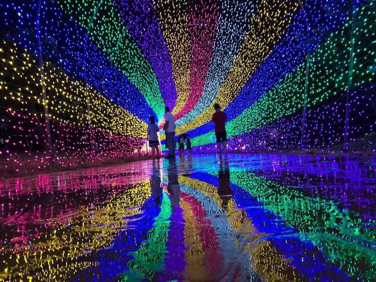 户外LED造型灯 园林景区夜游项目亮化工程 梦幻灯光展 工厂设计定制